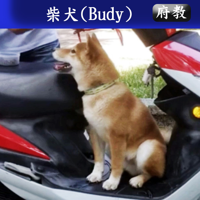 府教111.09 B