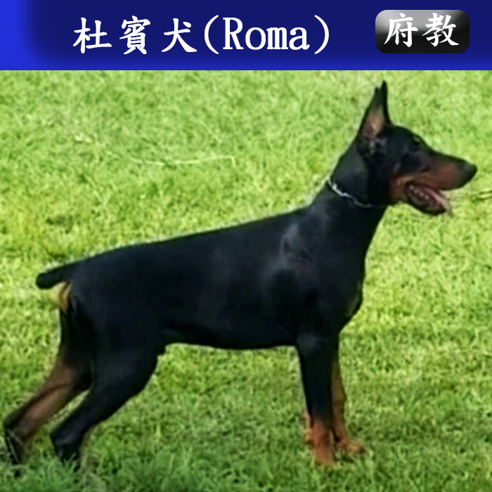 府教111.10 R
