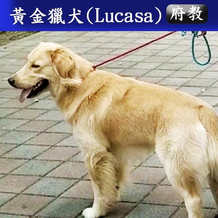 府教112.01 L
