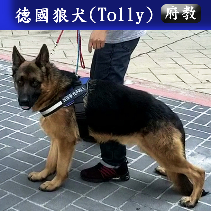府教112.02 T