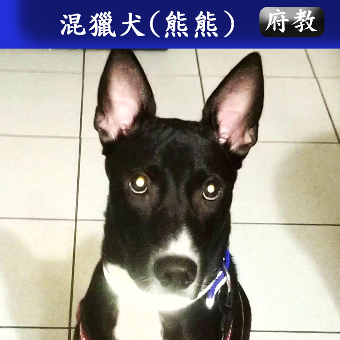 府教1-112.10