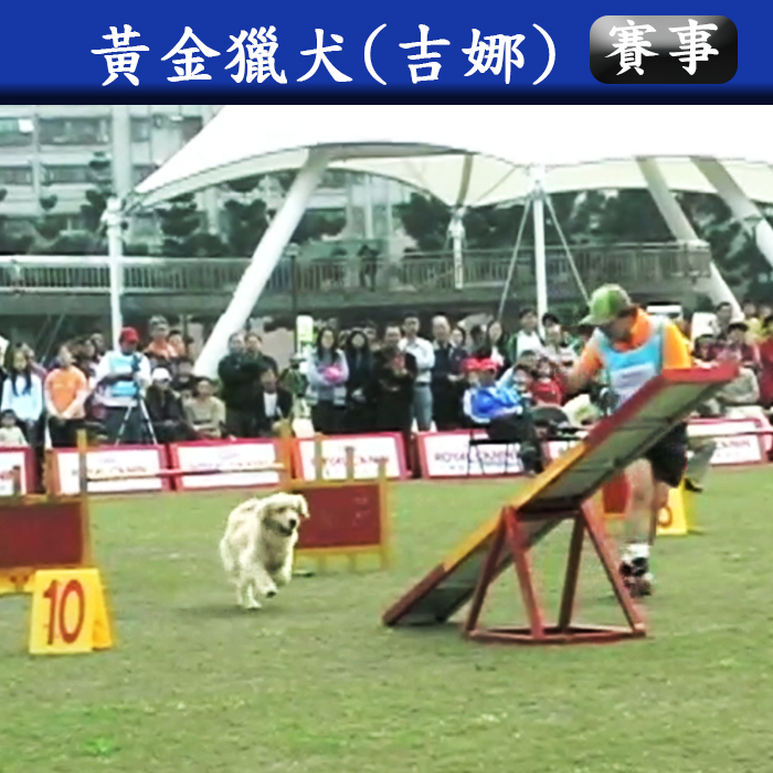 賽事(敏捷賽) 吉娜