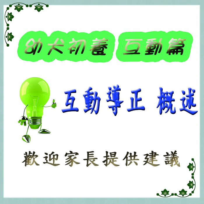 幼犬篇-互動導正 概