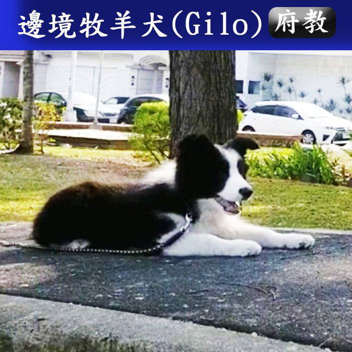 府教112.03 G