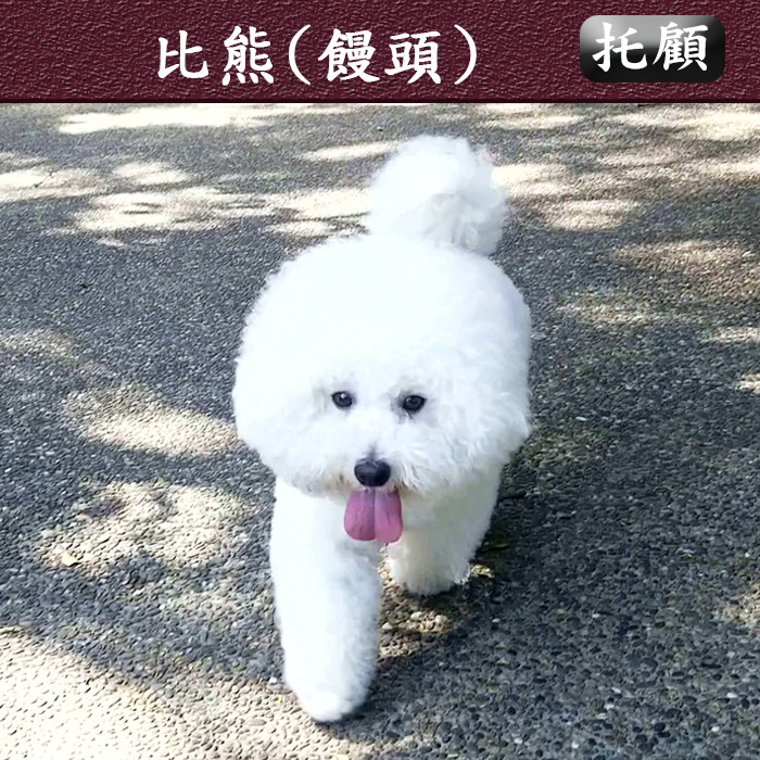 托顧112.10 饅