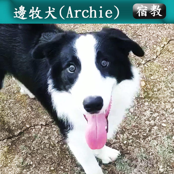 宿教015 Arch