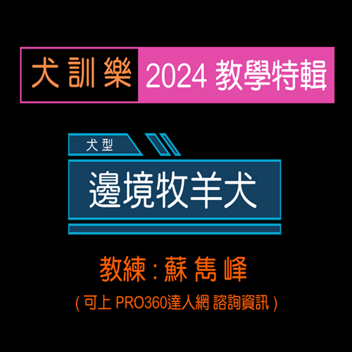 2024年度教學特輯
