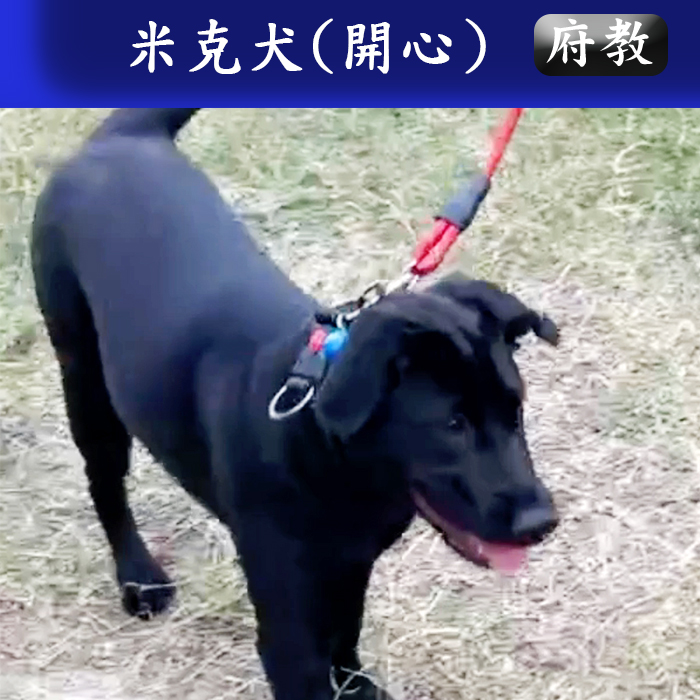 府教114.04 開
