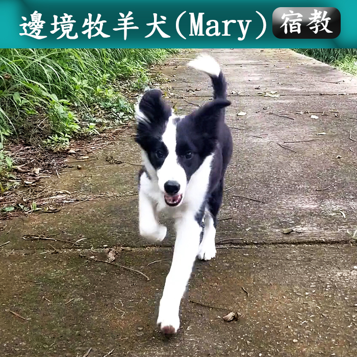 宿教022 Mary
