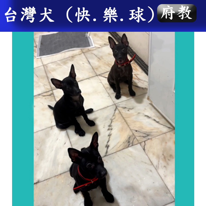 府教114.06 快