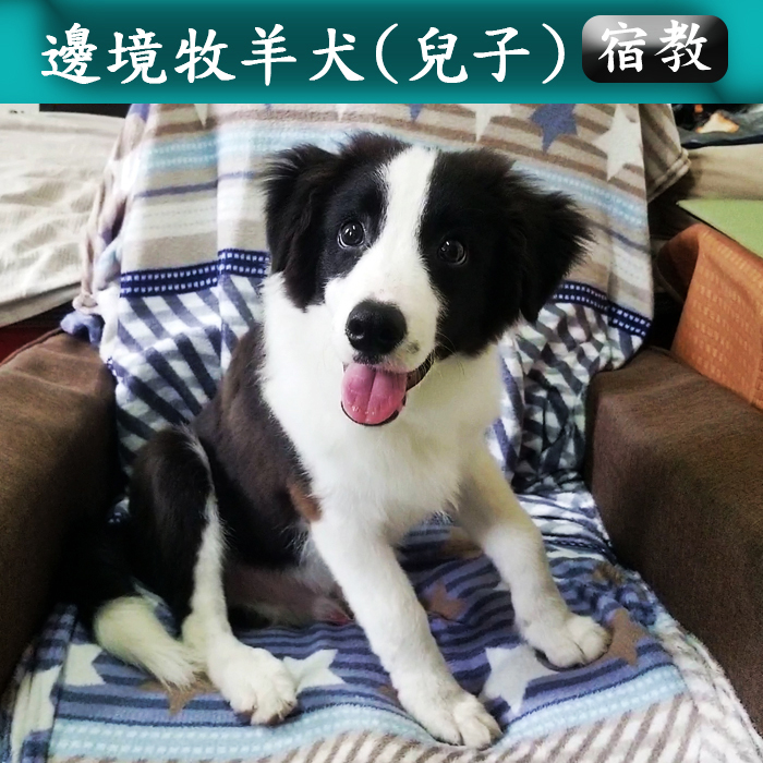 宿教025 兒子 (