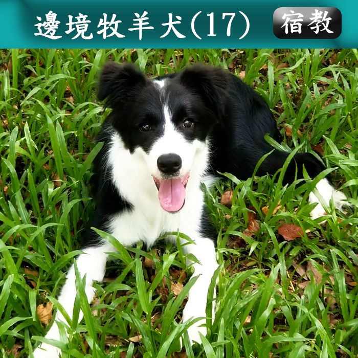 宿教027 17 (