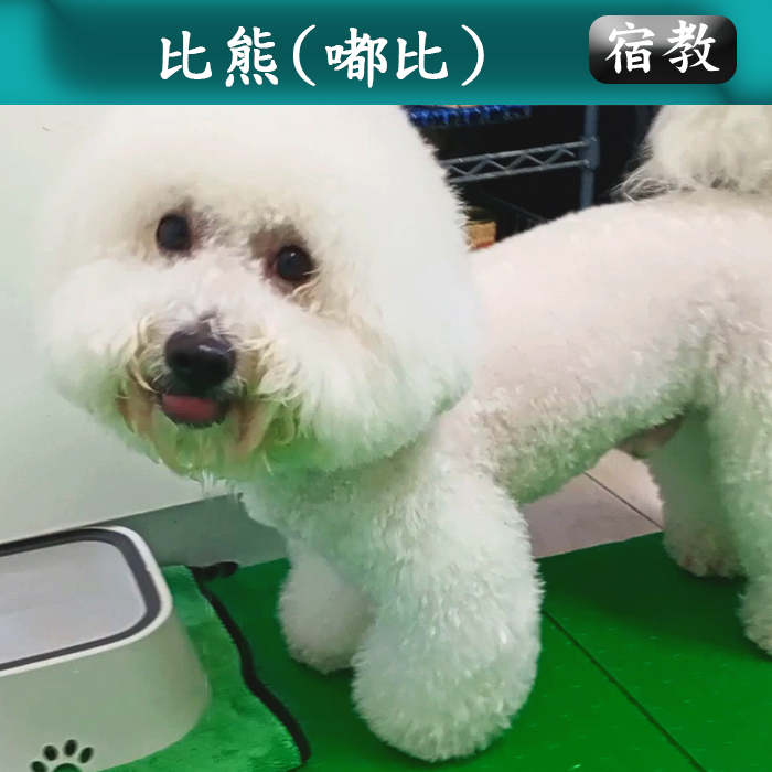 宿教031 嘟比 (